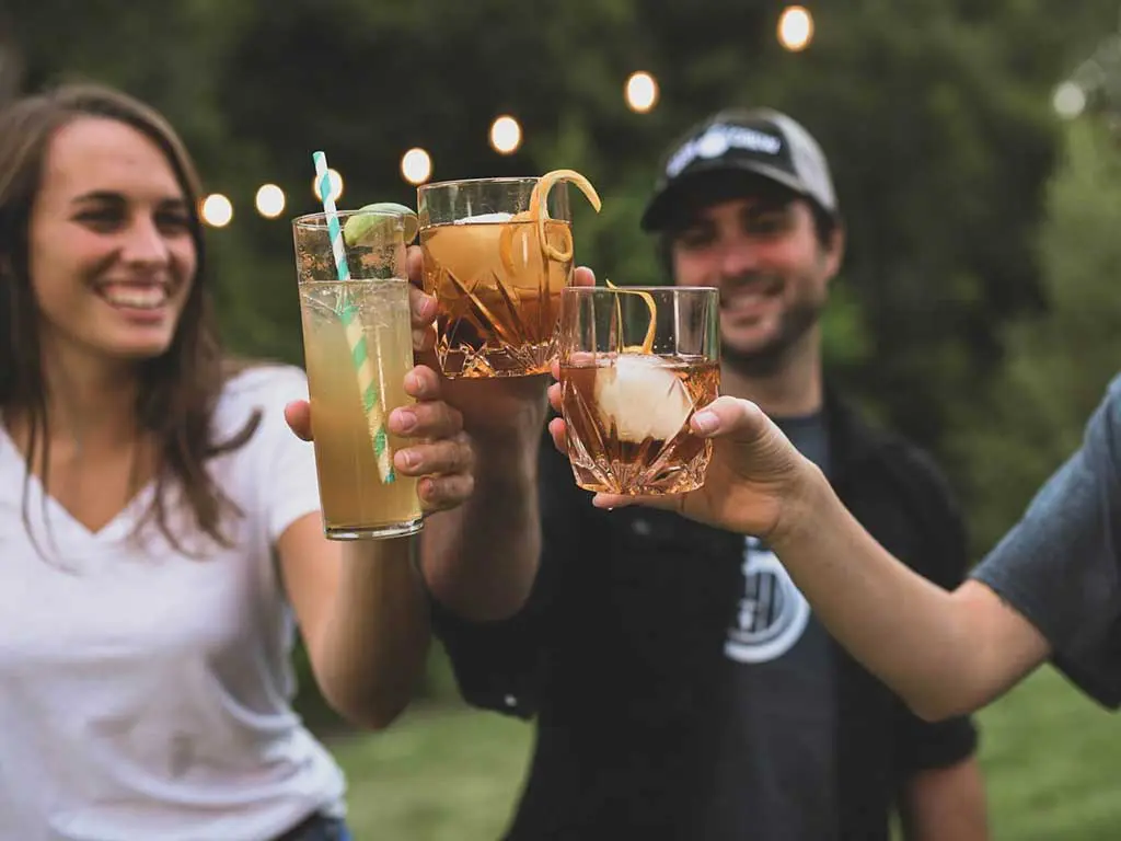Friends toasting with alcoholic drinks at a party