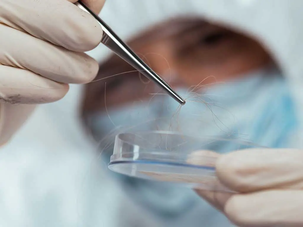 Two professionals working in a laboratory