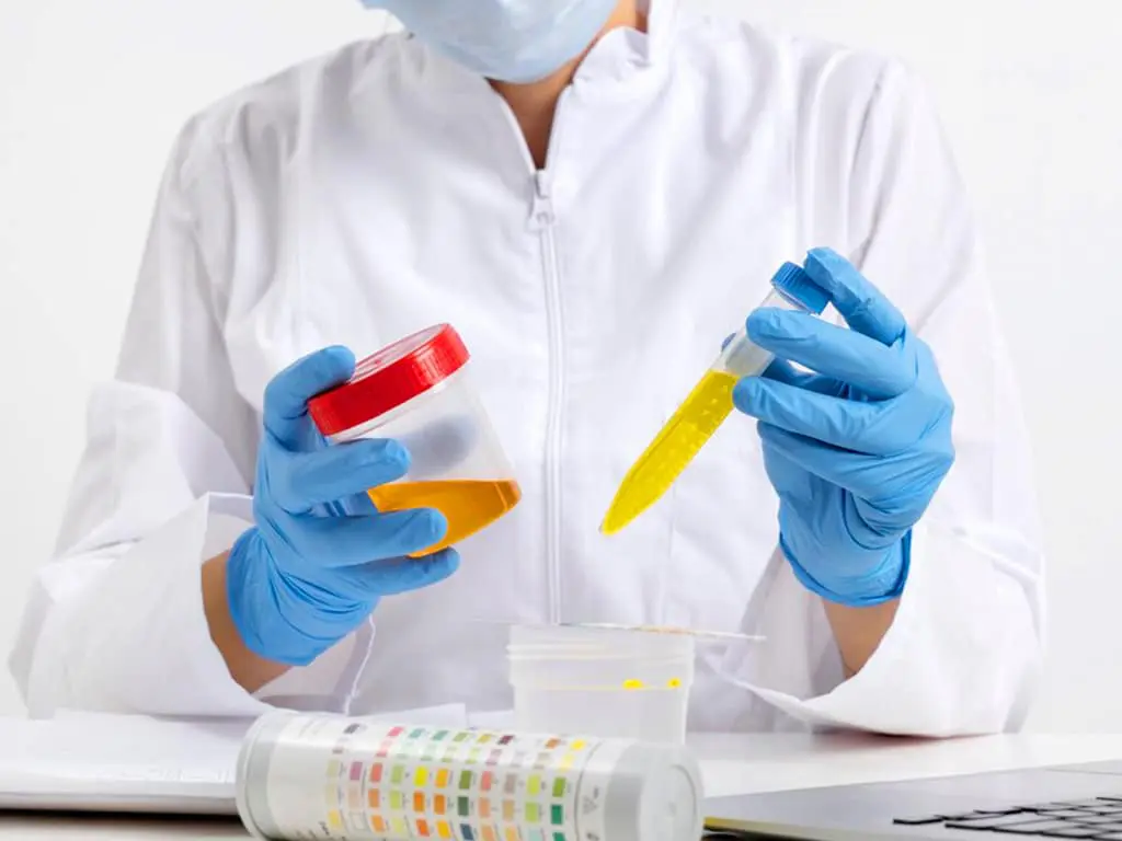 HLTPAT005 – Collect Specimens for Drugs of Abuse Testing