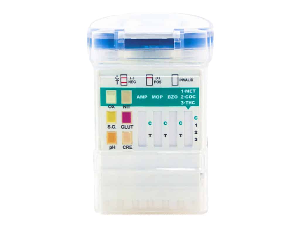 The back portion of the SureStep 6-in-1 EZ Split urine drug test