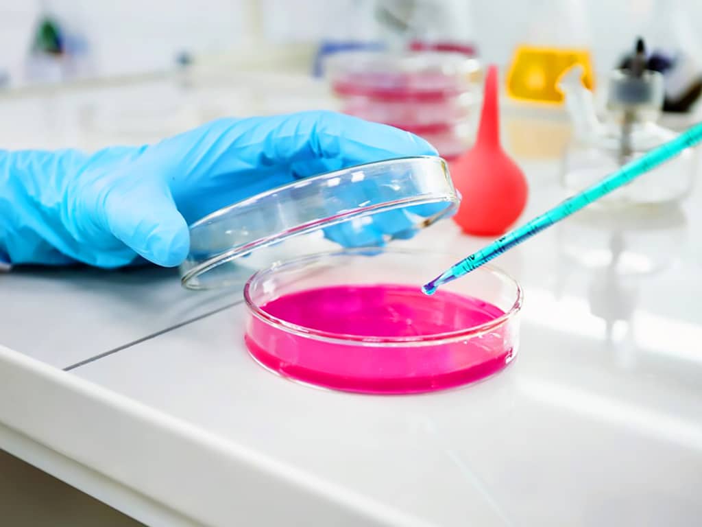 A lab technician analysing samples
